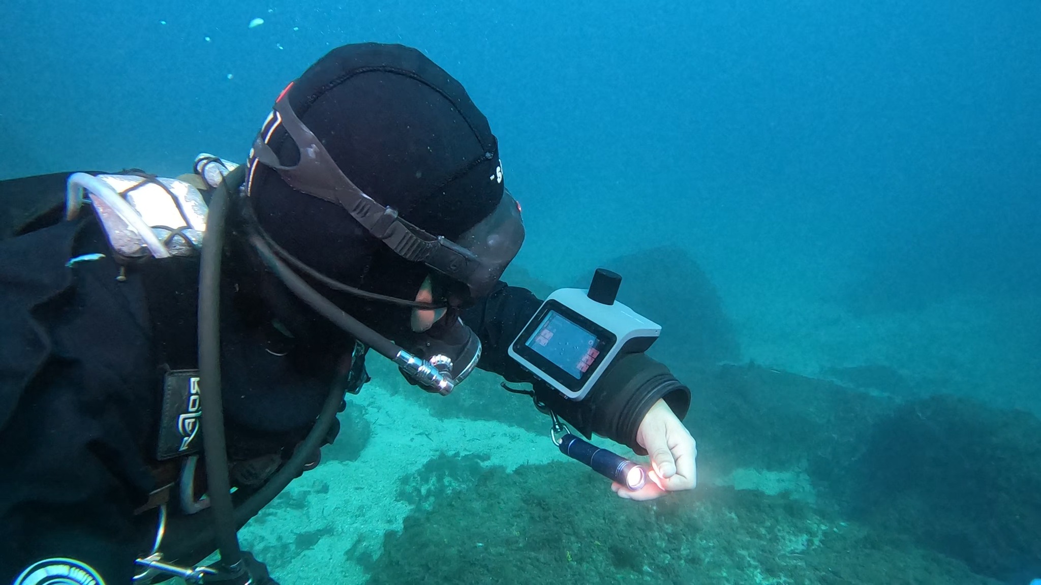 意大利、波兰潜水员使用志蓝技术水下定位通信装备提升协同效率