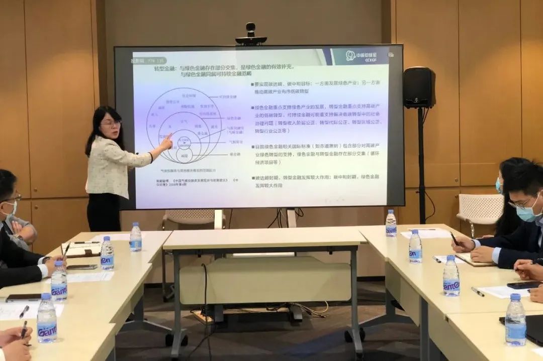 【线上分享会】深圳市绿色金融协会“转型金融标准及产品创新研讨会”成功举办