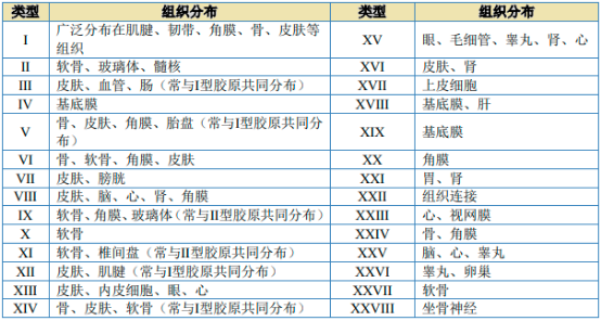 2023年全球及中国胶原蛋白、重组胶原蛋白行业市场需求规模前景预测及未来市场竞争战略预测咨询