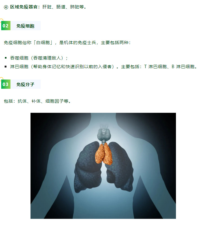 腺体免疫激活疗法 | 激活「胸腺」，提升免疫力！