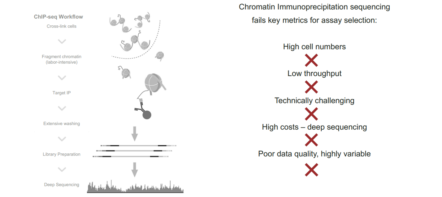 ChIP-seq染色质图谱检测方法的局限性及改善方式