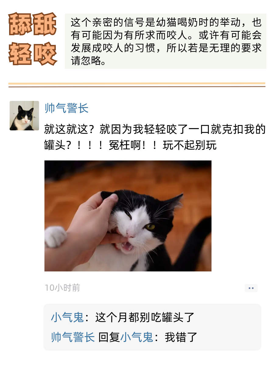 假如猫咪有朋友圈……