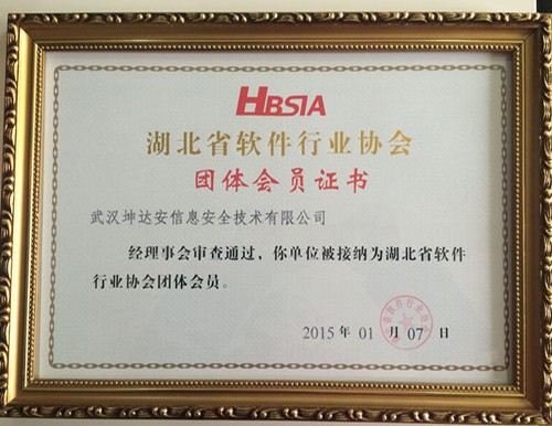 湖北省软件行业协会团会会员证书