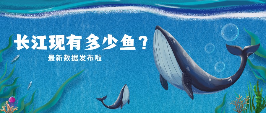 长江十年禁捕|长江现在有多少鱼？最新数据发布啦！
