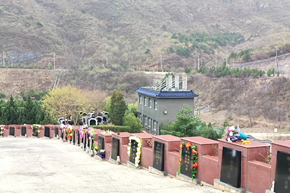 清明寄哀思|对特殊家庭老人的关爱，跨越生死，从未止步