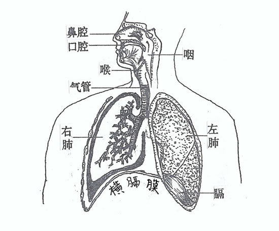 (二)篇（1）節  歌唱時為什麼必須氣沉丹田？