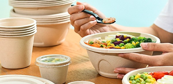 Disposable tableware