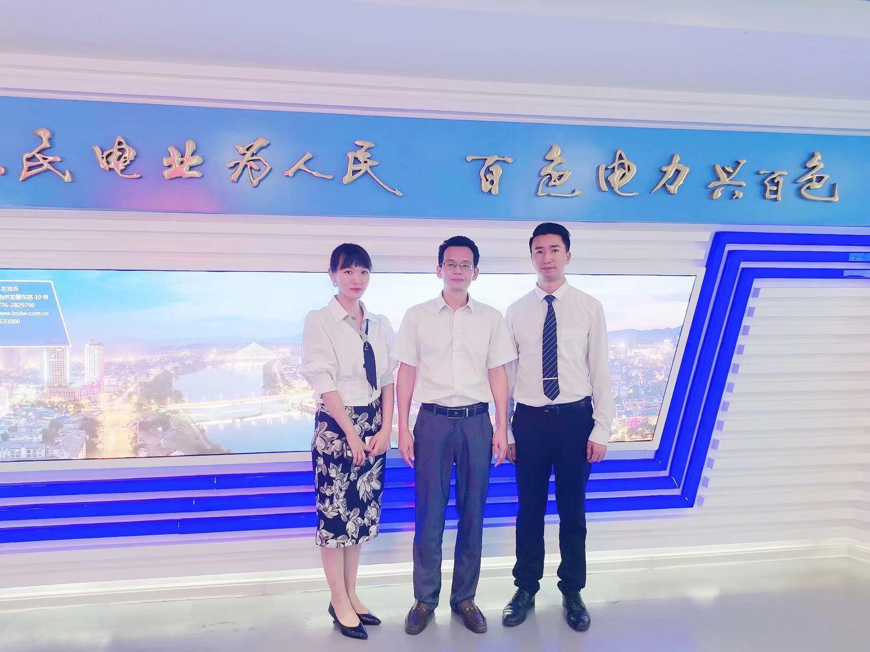 百色电力有限责任公司企业战略咨询与员工激励机制咨询项目 百色电力有限责任公司企业战略咨询与员工激励机制咨询项目