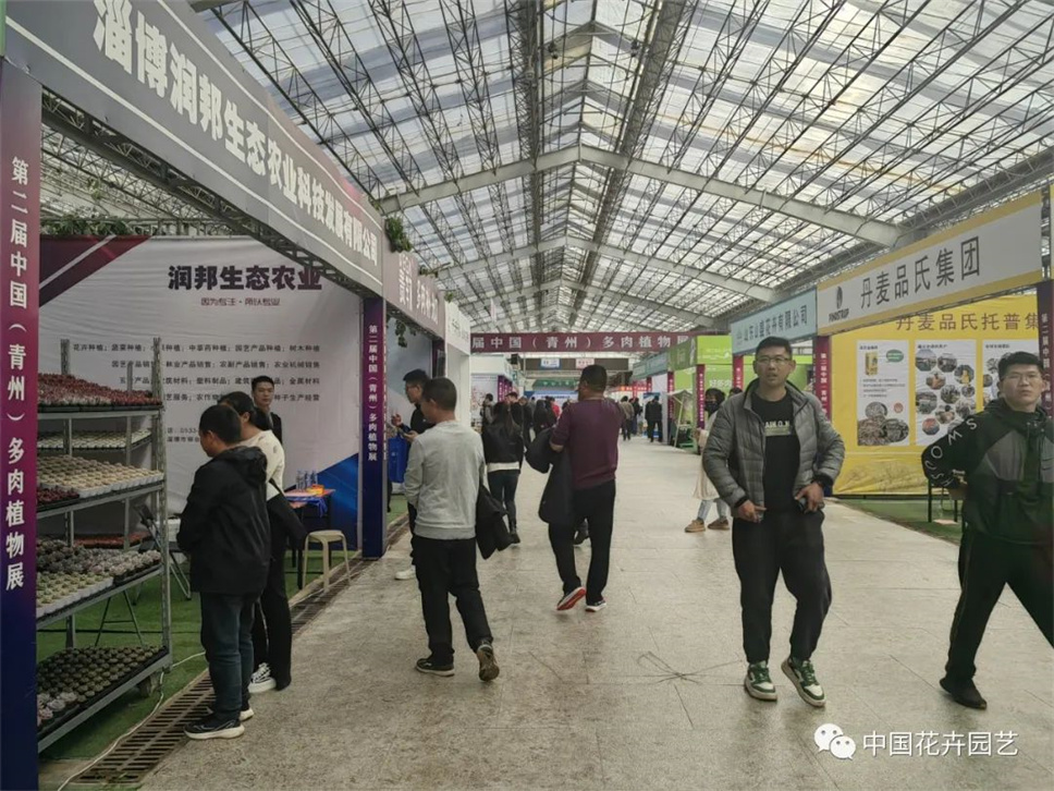 第二届中国（青州）多肉植物展举行 | 动态