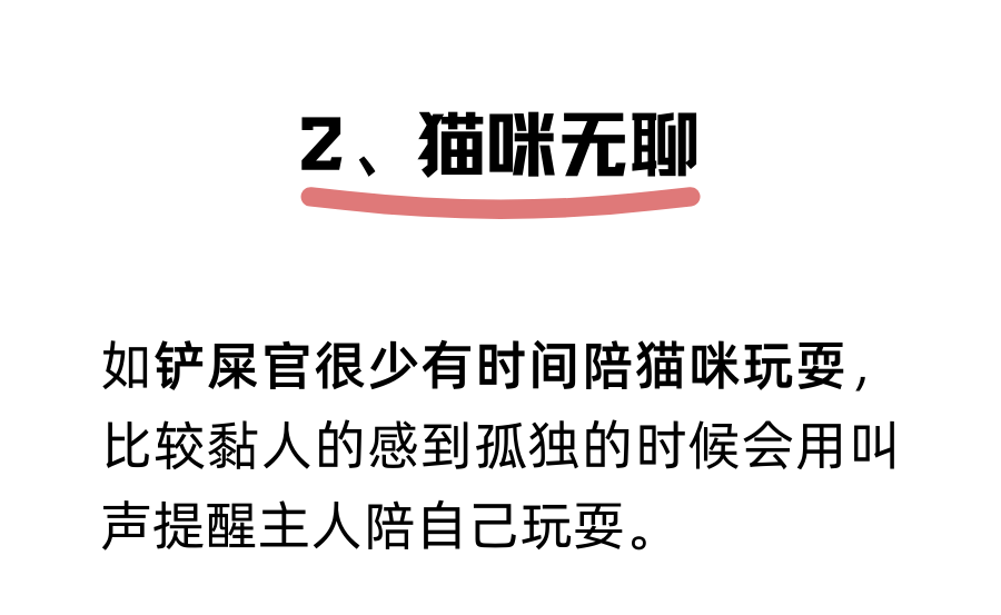 猫咪为什么半夜嚎叫？是生病了吗？