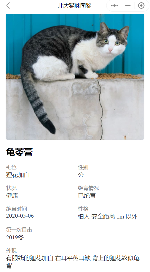 那些在大学里的猫，过的怎么样？