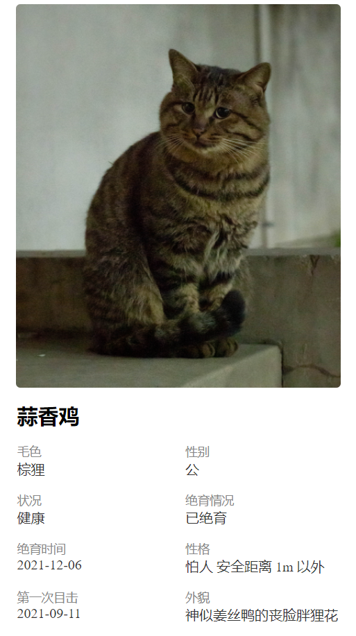 那些在大学里的猫，过的怎么样？