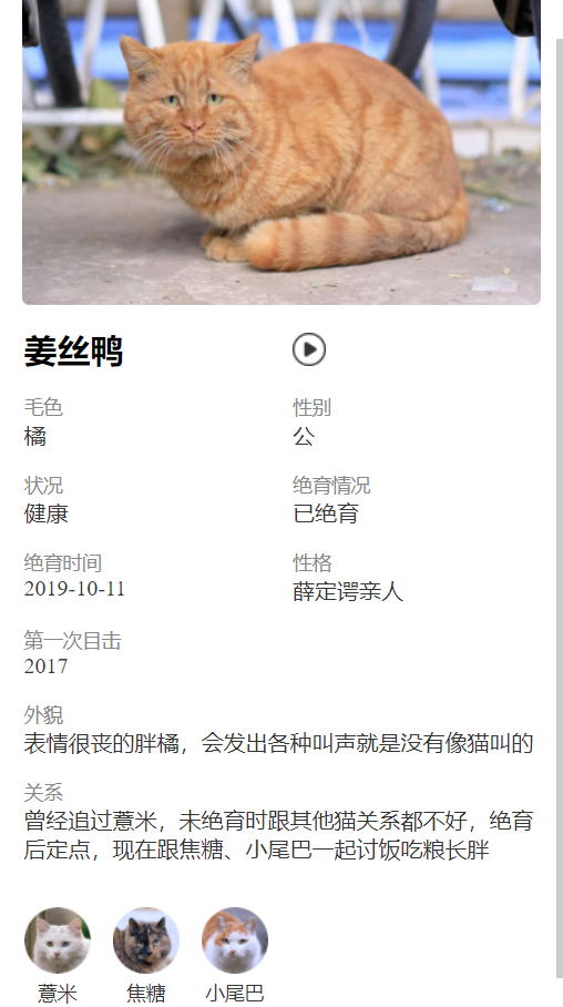 那些在大学里的猫，过的怎么样？