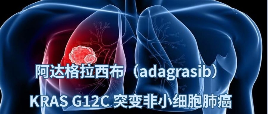 【阿达格拉西布】 KRAS G12C 突变非小细胞肺癌二代药，批准上市！