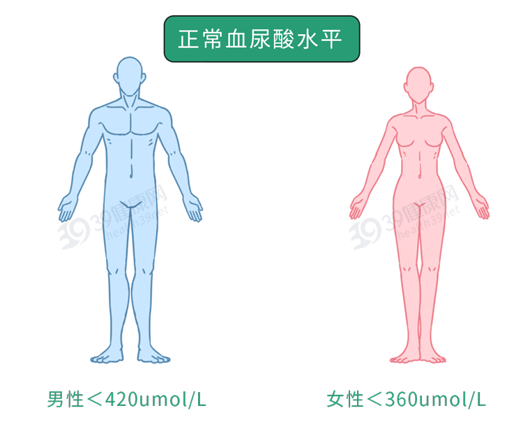 我国超千万人患痛风，“祸根”是豆制品？这6种食物才是嘌呤大户