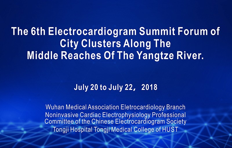 The 6th ECG Summit Forum of City Clusters Along The Middle Reaches Of The Yangtze River