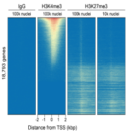 H3K27me3 Antibody——EpiCypher新品推荐
