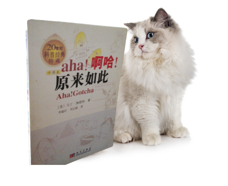 成年猫进，讲讲关于猫咪“性”方面的冷知识