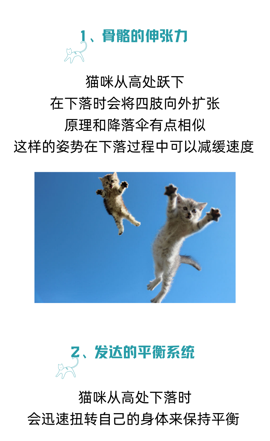 辟谣！猫咪真的没有九条命！