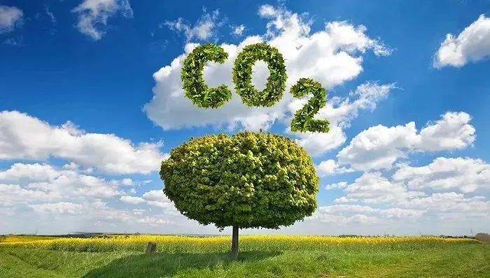 【业内热点】欧盟碳关税正式通过！