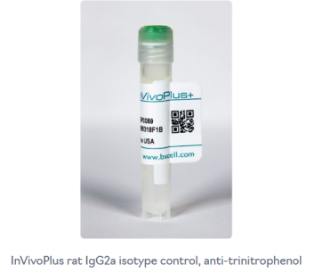 BioXcell热销产品--InVivoPlus rat IgG2a isotype control