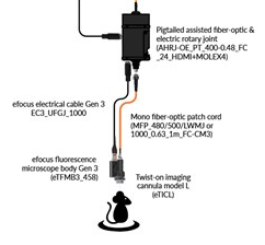 Miniscope电子对焦成像系统--eTFMS3