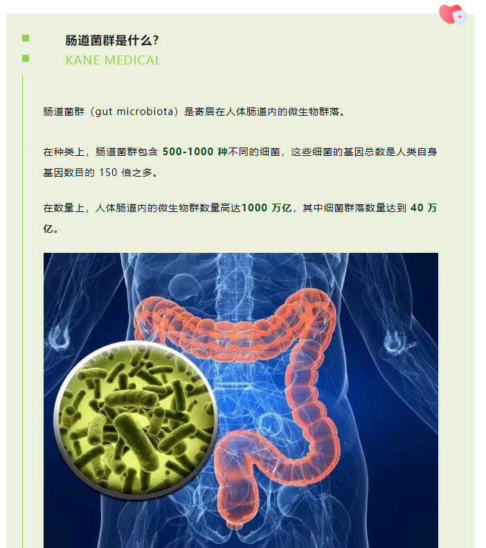 关于肠道菌群与菌群移植(FMT)，你想知道的全在这里~