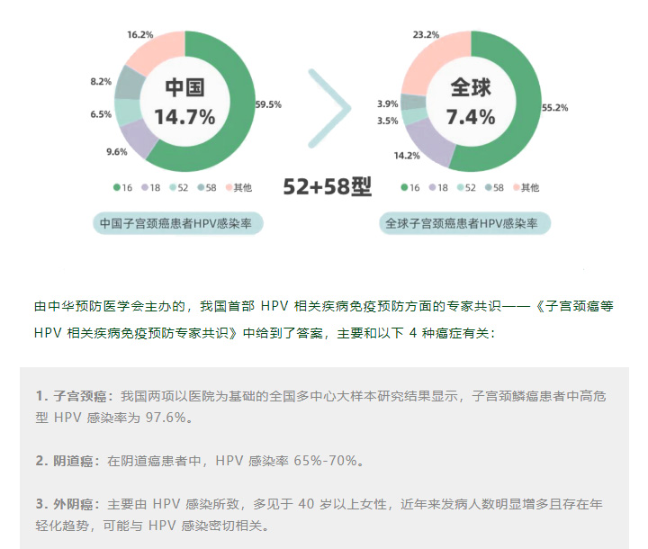 哪些 HPV，中国女性更容易感染？有无性生活都该知道！