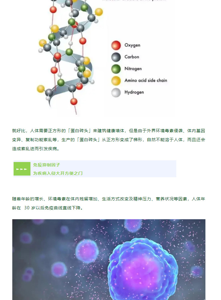 OHT 三氧疗法 | 净化血液纯净度，祛除血液垃圾