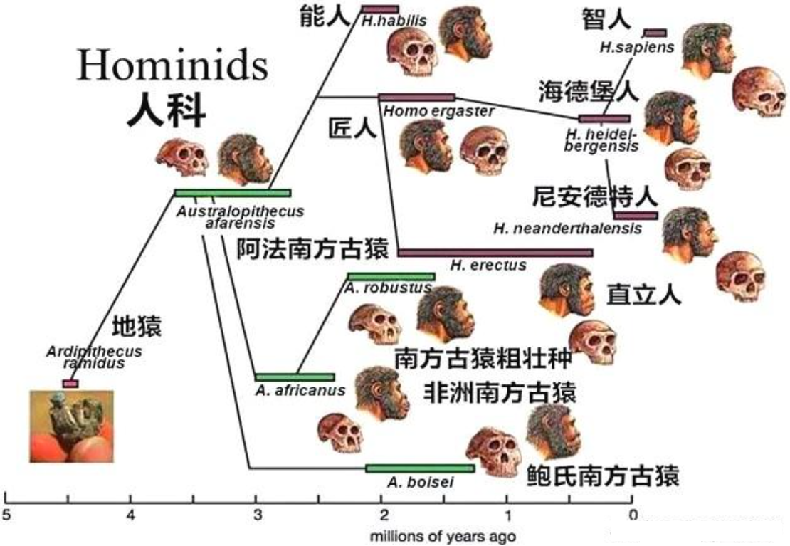 第一个中国人从何而来？科学家的研究成果，揭示中国人的起源？