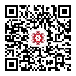 晨逸京泽现货畅销分子产品夏季促销