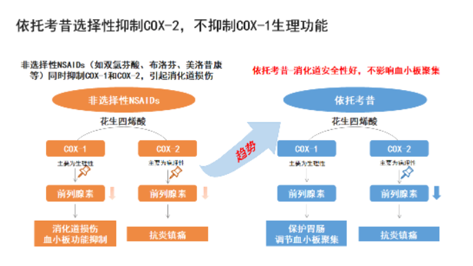 依托考昔片，长期服用胃肠道安全之选