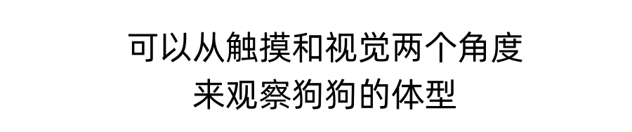 如何判断自家狗子是胖是瘦？