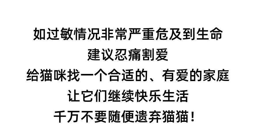 养猫两年后对猫毛过敏了，我该怎么办？