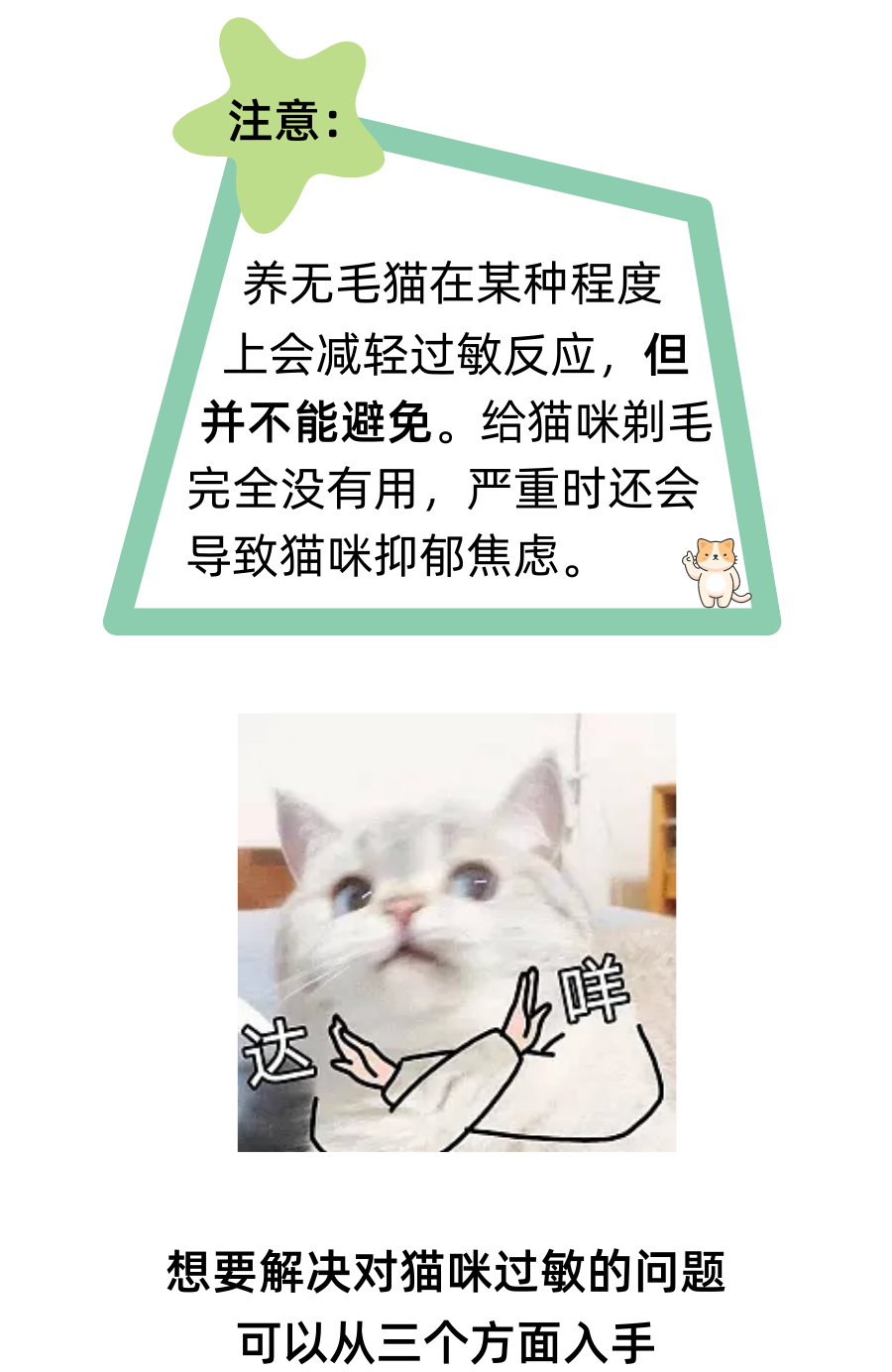 养猫两年后对猫毛过敏了，我该怎么办？