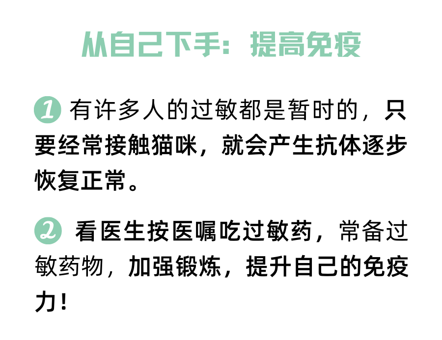 养猫两年后对猫毛过敏了，我该怎么办？