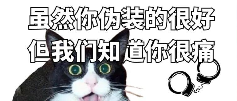 通缉全城齿折小必威登录入口！！
