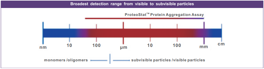 蛋白聚集检测试剂盒