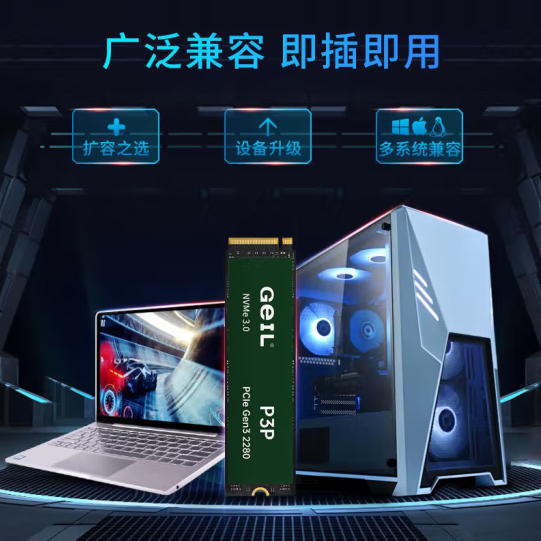 金邦P3P NVME-3.0 台式机固态硬盘