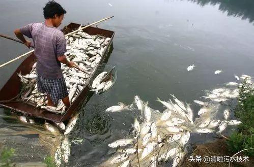 盘点：中国十大水污染事件
