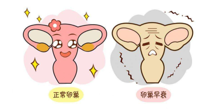 卵巢早衰真的不可逆吗？出现这4个信号你就要注意了！