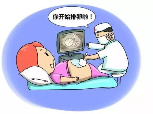 试管促排卵期间，到底吃什么好呢？