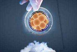 想一次成功，做好这几点准备能提高冻囊胚移植成功率