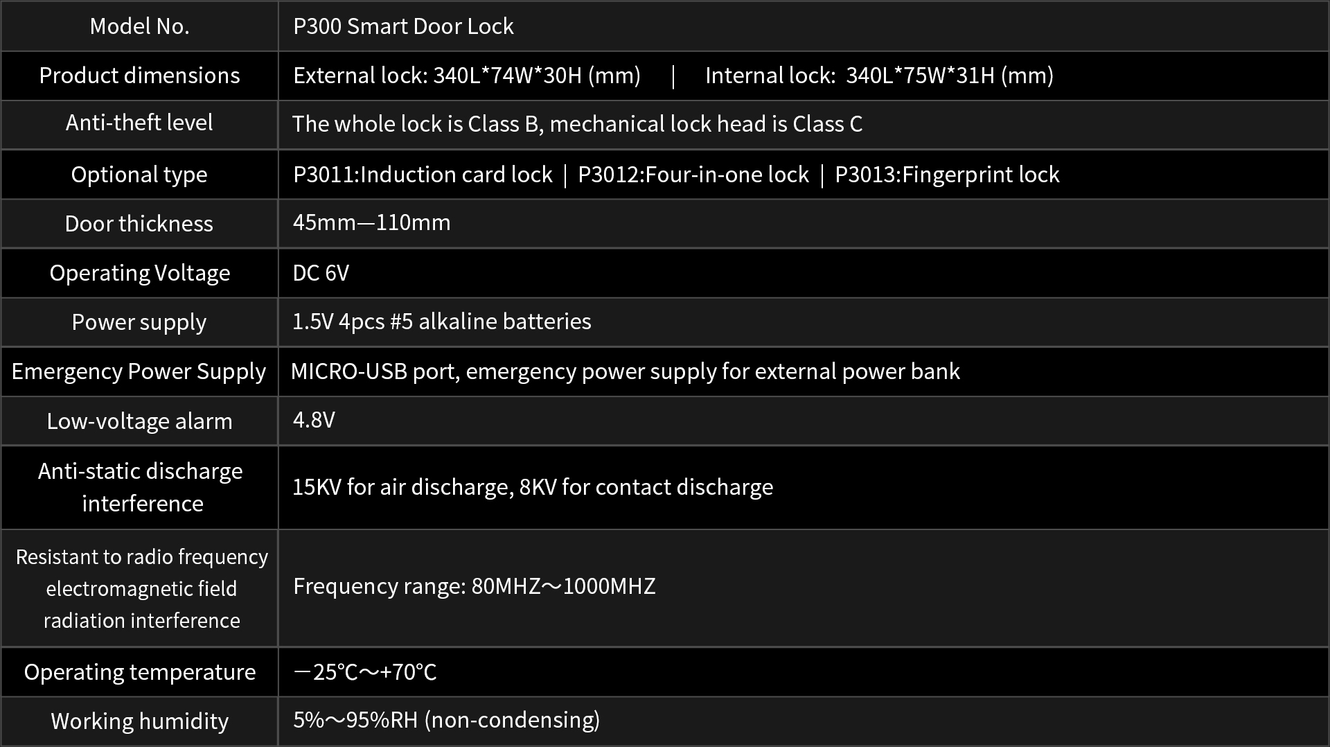 P300 Smart Door Lock