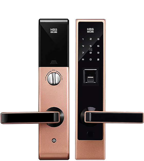 P300 Smart Doorlock