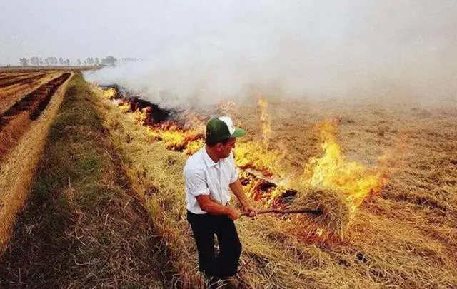 力度！省环委会一号文件剑指秸秆禁烧