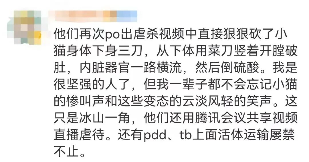 用刀割、火烧、签扎酷刑虐猫的网红被禁封！