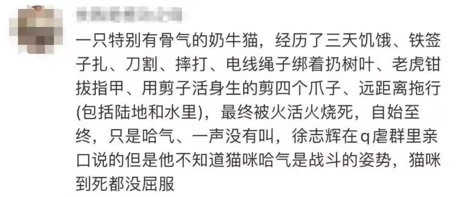 用刀割、火烧、签扎酷刑虐猫的网红被禁封！