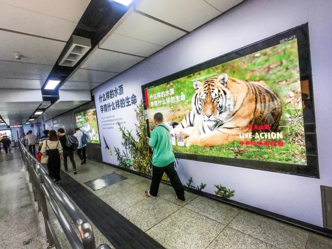 深圳地铁广告展现形式和价格的关联性