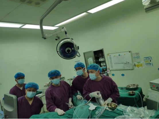 Meeting Information | New Xiangya Urinary Stone Senior Training Class and visual puncture, standard Meeting Information | New Xiangya Urinary Stone Senior Training Class and visual puncture, standard